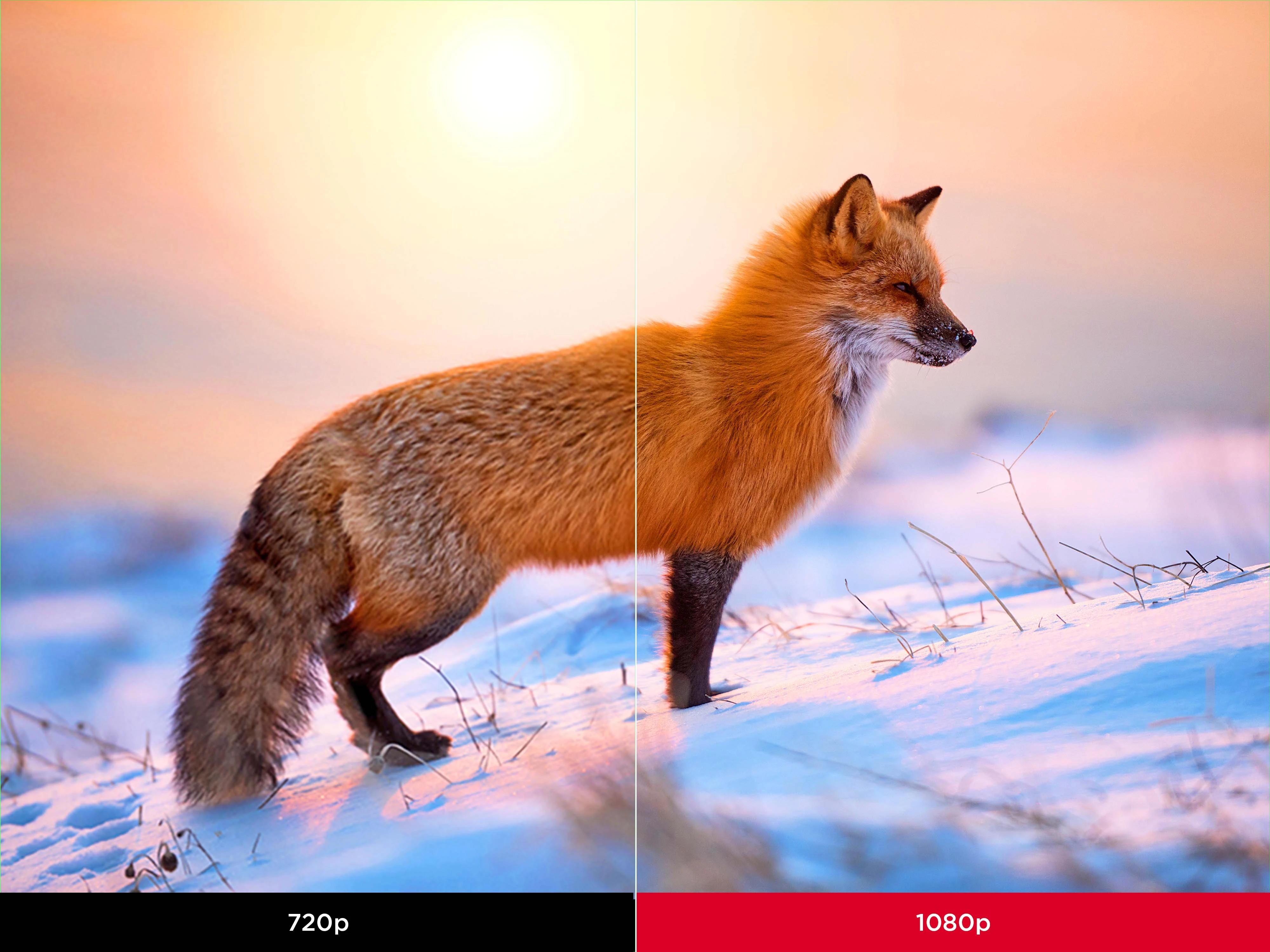 Immerse in Crystal Clear Visuals 1